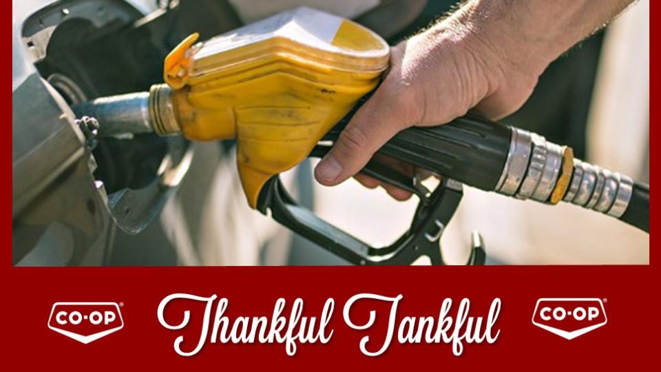 Local Lakeland Petroleum Services Coop Ltd